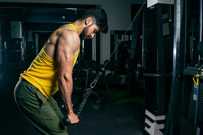 fit bodies